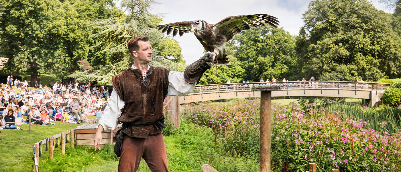 Falconers quest at Warwick Castle